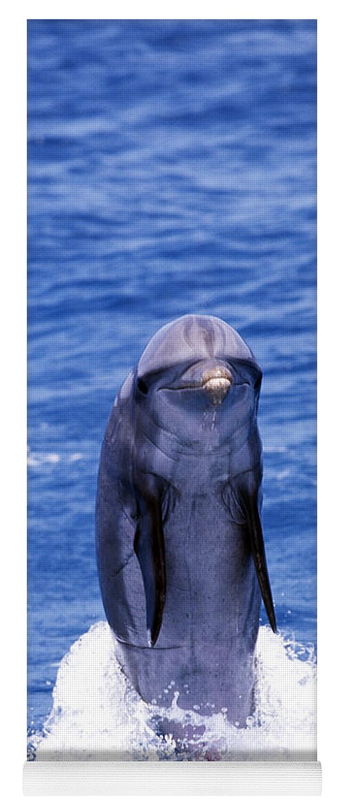 Animal Yoga Mat featuring the photograph Bottlenose Dolphin #1 by F. Stuart Westmorland