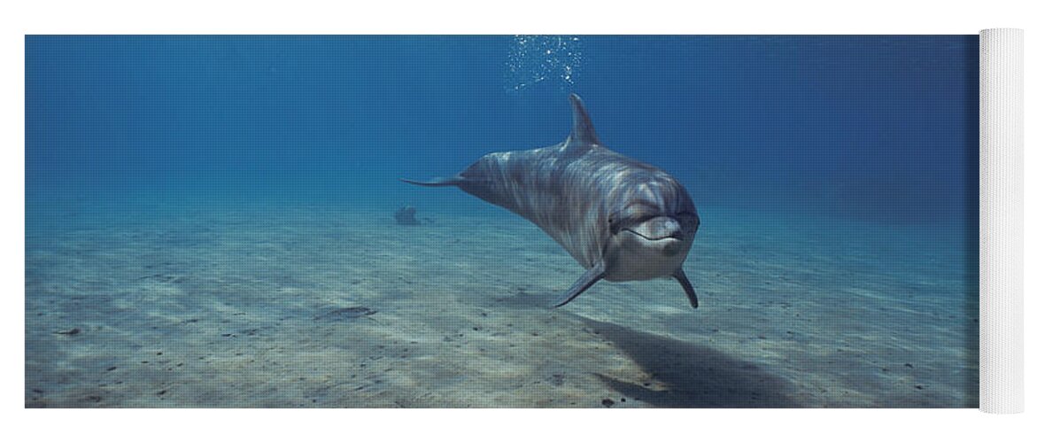 Animal Yoga Mat featuring the photograph Bottlenose Dolphin #1 by Jeff Rotman