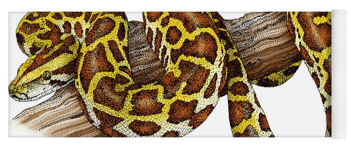Snake Yoga Mat featuring the photograph Burmese Python #1 by Roger Hall