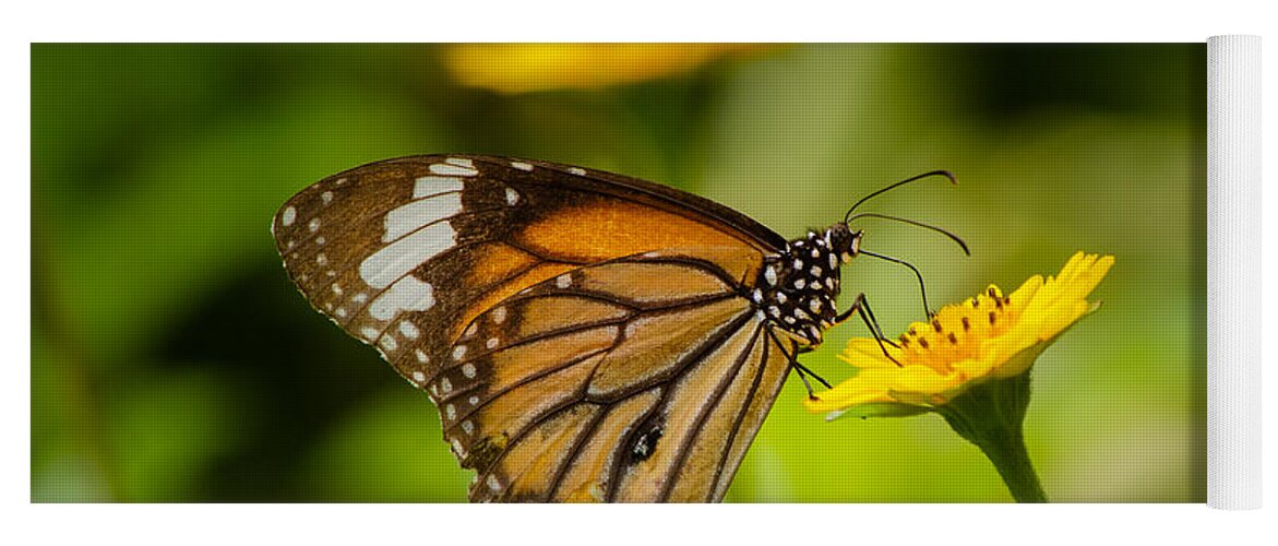 Brush-footed Butterfly Yoga Mat featuring the photograph Butterfly - Common Tiger #1 by SAURAVphoto Online Store
