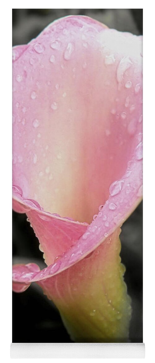 dew Kissed Yoga Mat featuring the photograph Dew Kissed Calla Lily #1 by Sharon Woerner