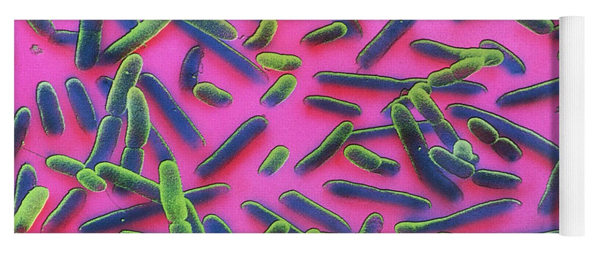 E. Coli Bacteria Yoga Mat featuring the photograph E. Coli Bacteria #1 by David M. Phillips