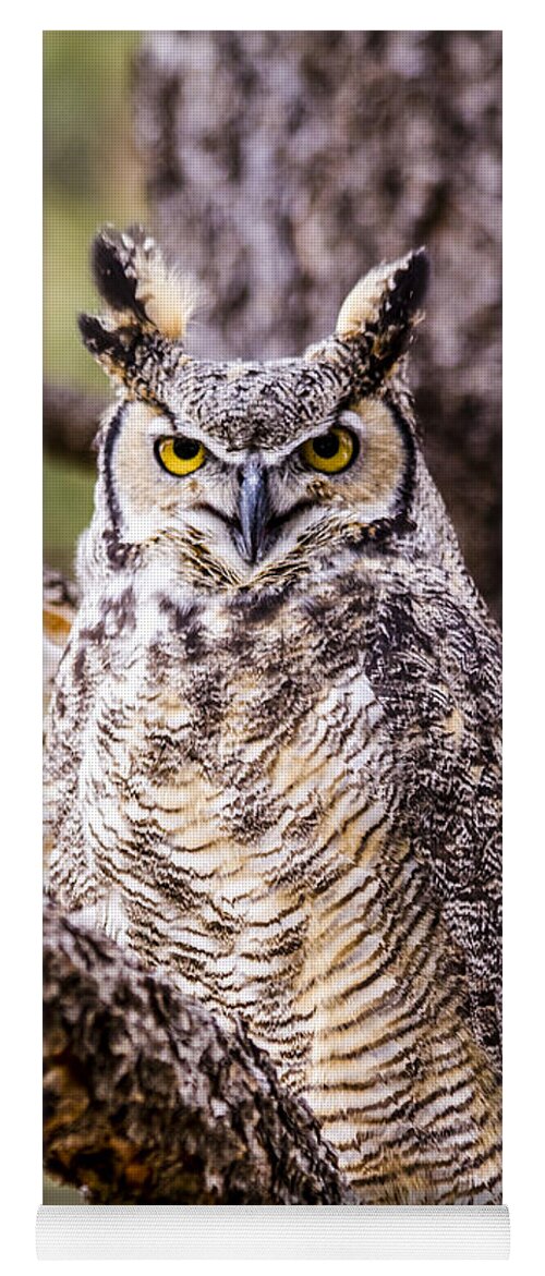 Animal Yoga Mat featuring the photograph Great Horned Owl #1 by Teri Virbickis