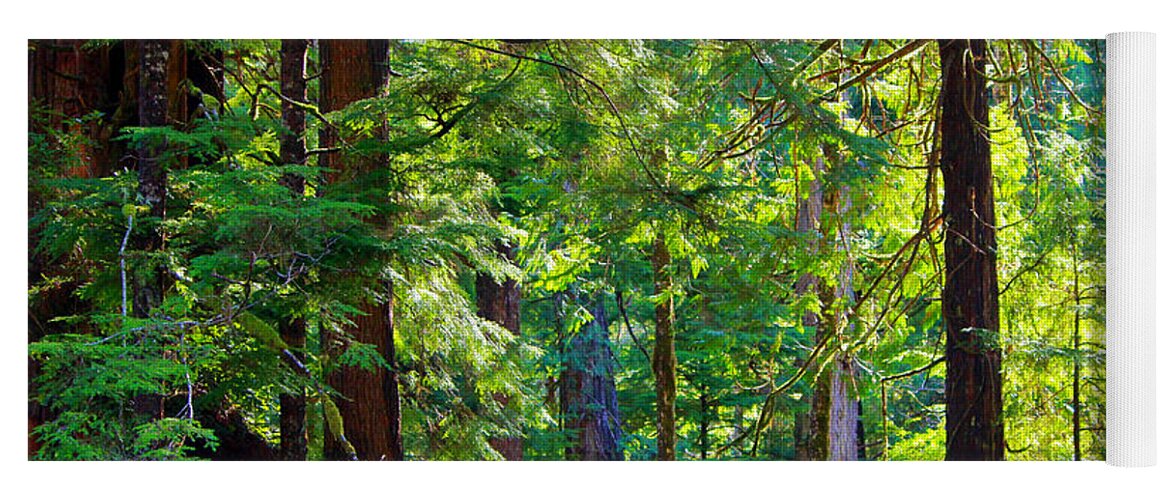 Hoh Yoga Mat featuring the photograph Hoh Rain Forest #1 by Jeanette C Landstrom
