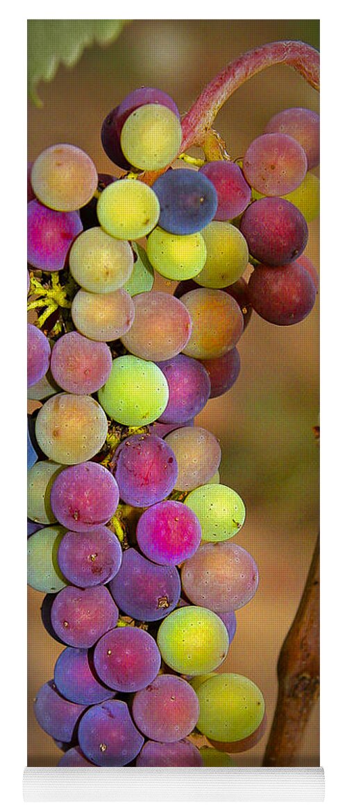 Grapes Yoga Mat featuring the photograph Jewel Tones #1 by Jean Noren