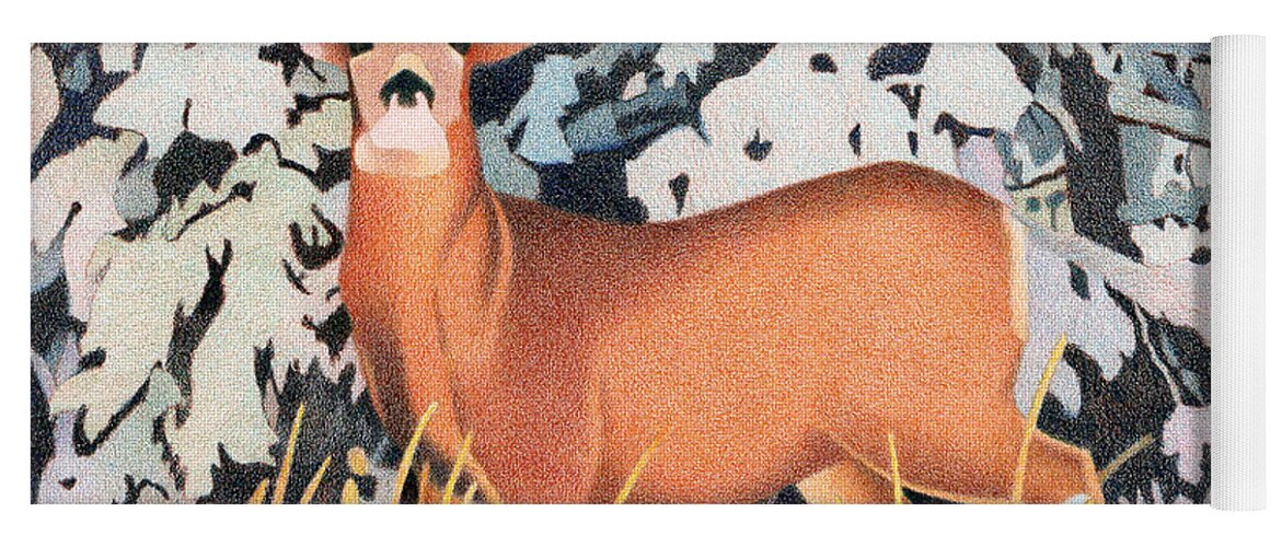 Art Yoga Mat featuring the drawing Mule Deer #2 by Dan Miller