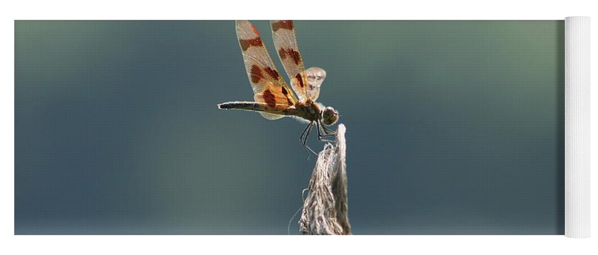 Dragonfly Art Yoga Mat featuring the photograph Perfect View #1 by Neal Eslinger
