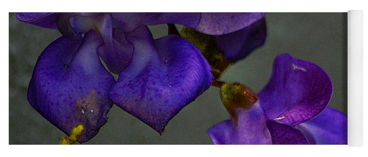 John+kolenberg Yoga Mat featuring the photograph Purple Pleasure #2 by John Kolenberg
