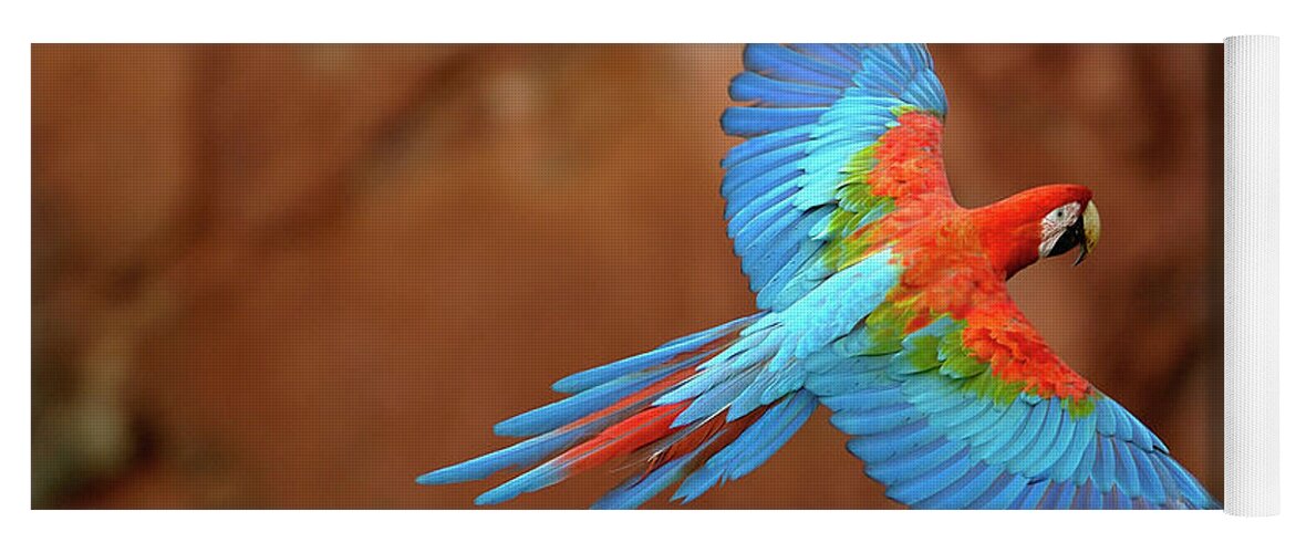 00217513 Yoga Mat featuring the photograph Red And Green Macaw Flying #1 by Pete Oxford