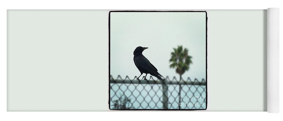 Crow Yoga Mat featuring the photograph Silhouette #1 by Denise Railey
