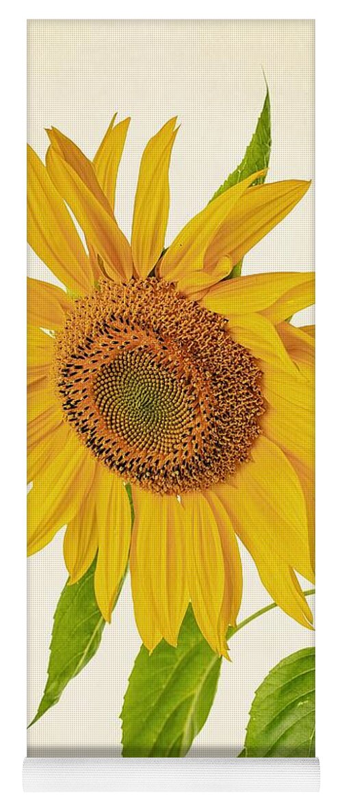 Sunflowers Yoga Mat featuring the photograph Sunflower #3 by Edward Fielding