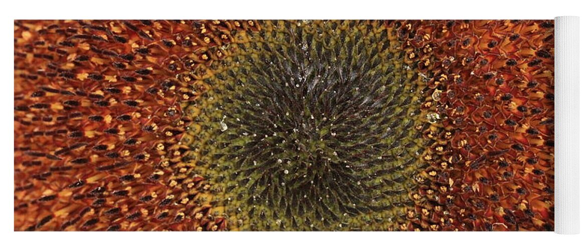 Background Yoga Mat featuring the photograph Sunflower Seeds by Amanda Mohler