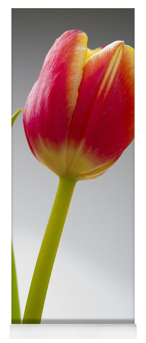 Tulip Yoga Mat featuring the photograph Tulip #1 by Sebastian Musial