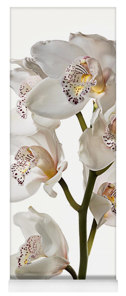 Flower Yoga Mat featuring the photograph White Orchids #1 by Endre Balogh