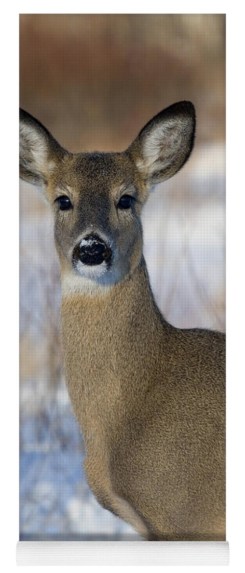 Doe Yoga Mat featuring the photograph White-tailed Doe #1 by Linda Freshwaters Arndt