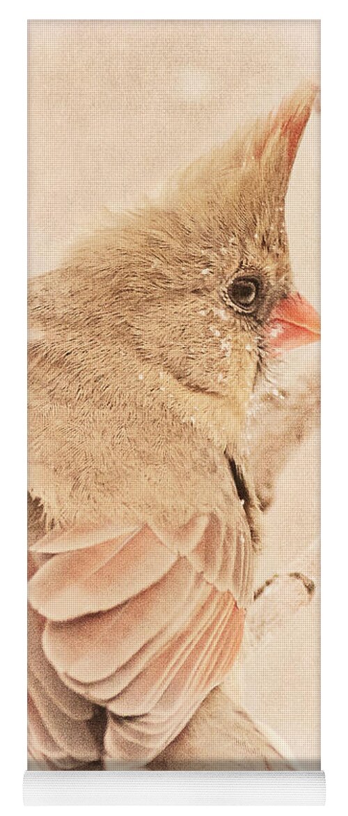 Bird Yoga Mat featuring the photograph Winter Cardinal #1 by Pam Holdsworth