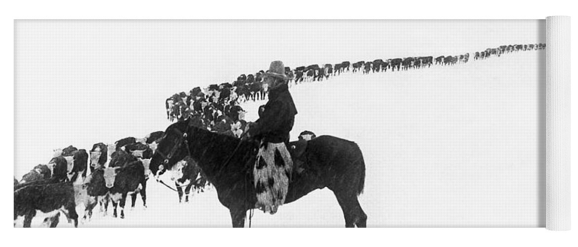 1920s Yoga Mat featuring the photograph Wintertime Cattle Drive by Underwood Archives Charles Belden