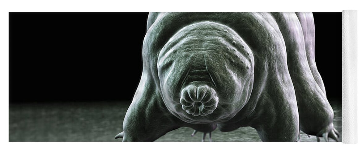 Protostomia Yoga Mat featuring the photograph Water Bear Tardigrades #12 by Science Picture Co
