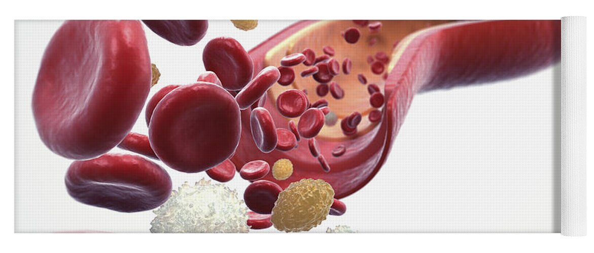 Blood Vessel Yoga Mat featuring the photograph Blood Vessel With Cells #2 by Science Picture Co