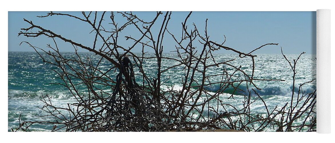 Branches Yoga Mat featuring the photograph Branches at beach by Nora Boghossian