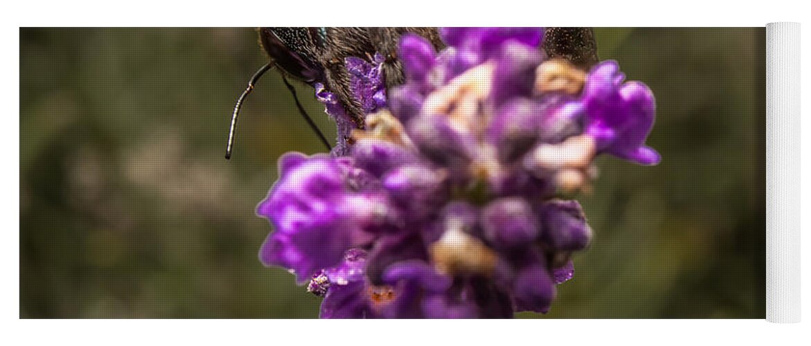 Flower Yoga Mat featuring the photograph Carpenter Bee on a Lavender Spike by Ron Pate