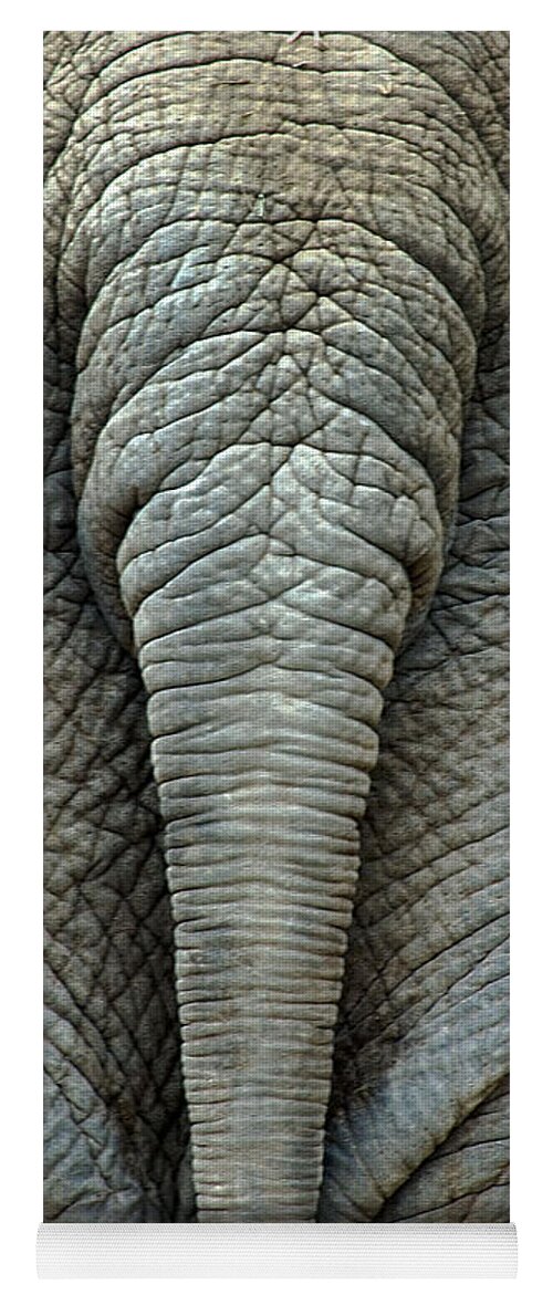 Elephant's Tail Photograph Yoga Mat featuring the photograph Elephant's Tail #2 by Mae Wertz
