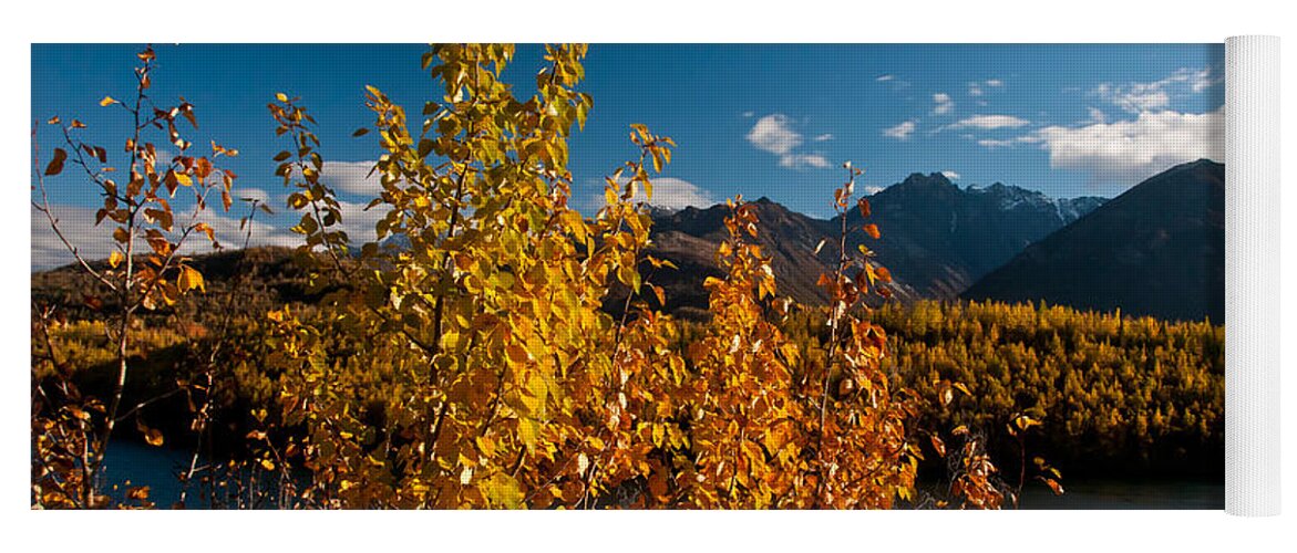 Nature Yoga Mat featuring the photograph Fall Colors, Alaska #2 by Mark Newman