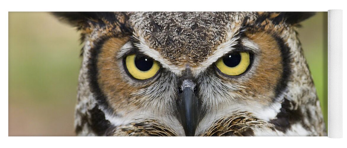 Great Horned Owls Yoga Mat featuring the photograph Great Horned Owl #4 by Jill Lang