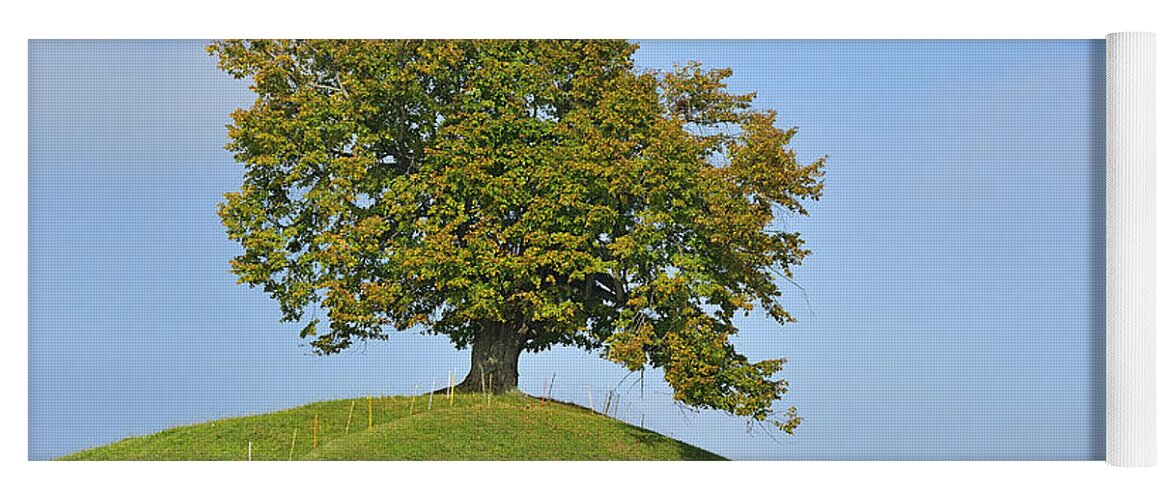 Feb0514 Yoga Mat featuring the photograph Lime Tree Zug Switzerland #2 by Thomas Marent
