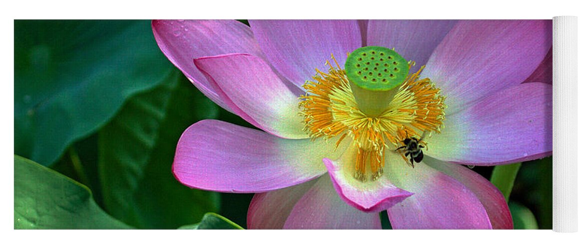 Kenilworth Yoga Mat featuring the photograph Lotus Flower #2 by Jerry Gammon