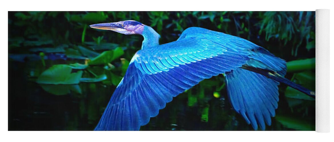Great Blue Heron Yoga Mat featuring the photograph Wings of Blue by Mark Andrew Thomas