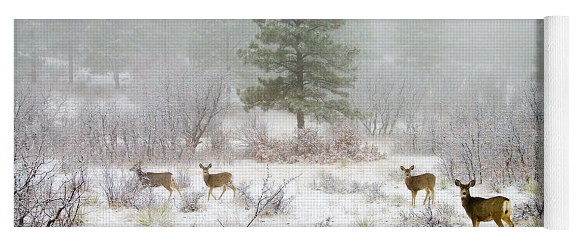Animal Yoga Mat featuring the photograph Mule Deer in Heavy Snow #2 by Steven Krull