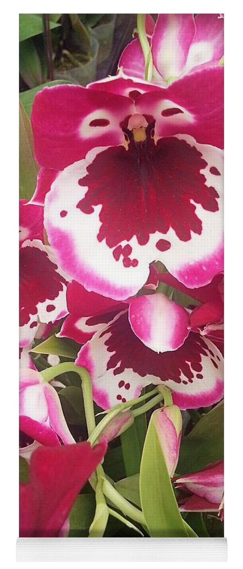 Orchid Yoga Mat featuring the photograph Orchids #2 by Jane Girardot