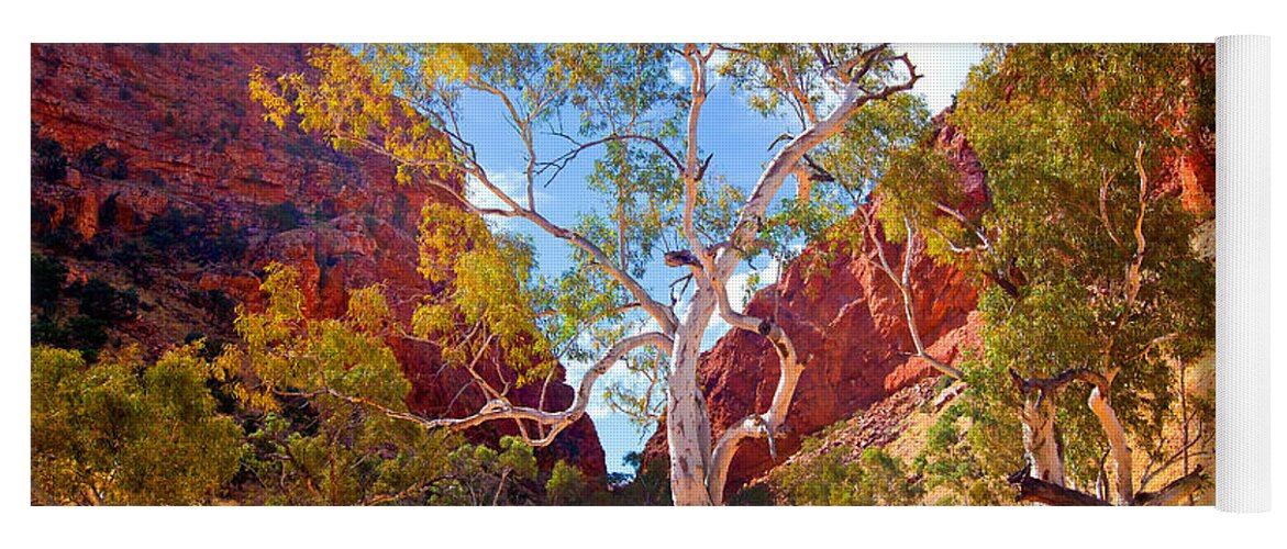 Outback Landscape Central Australia Australian Arid Yoga Mat featuring the photograph Simpson's Gap #3 by Bill Robinson