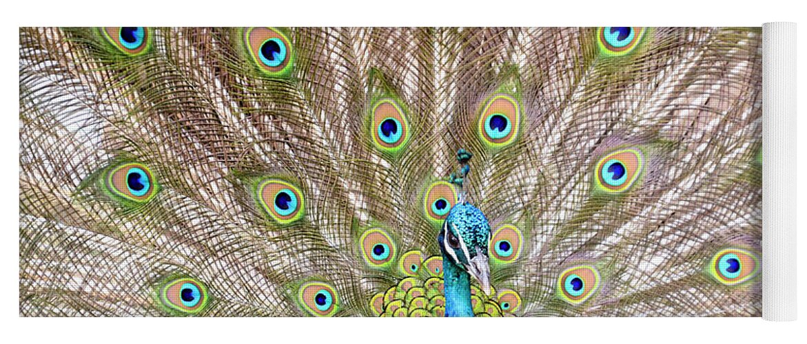 Male Peacock Yoga Mat featuring the photograph Peacock by Crystal Wightman