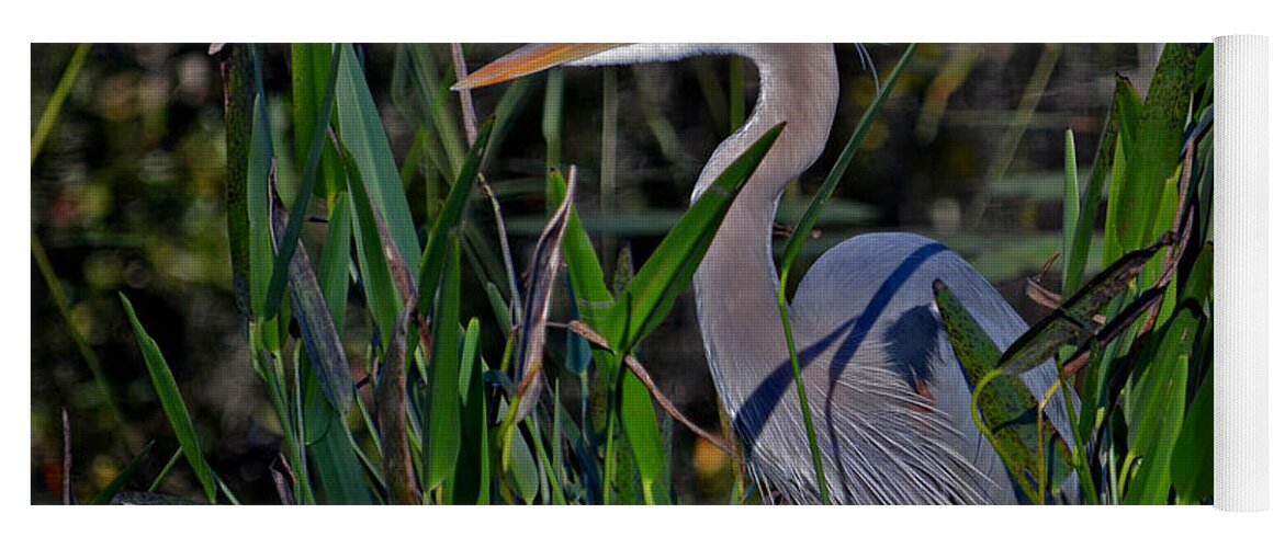 Great Blue Heron Yoga Mat featuring the photograph 20- Great Blue Heron by Joseph Keane