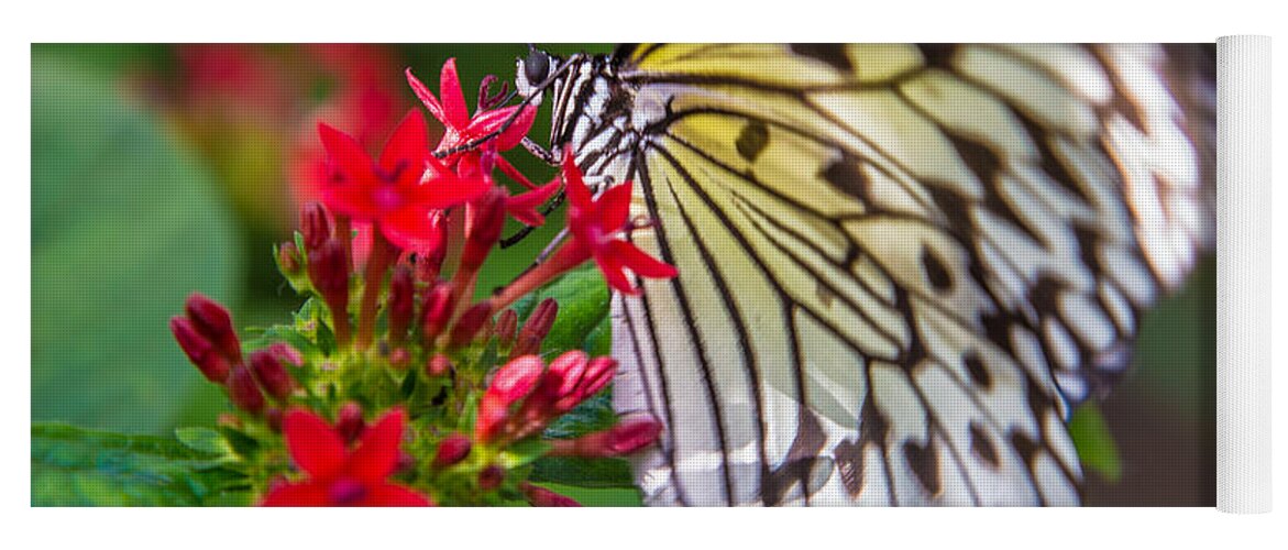 Butterfly Yoga Mat featuring the photograph Butterfly #29 by Rene Triay FineArt Photos