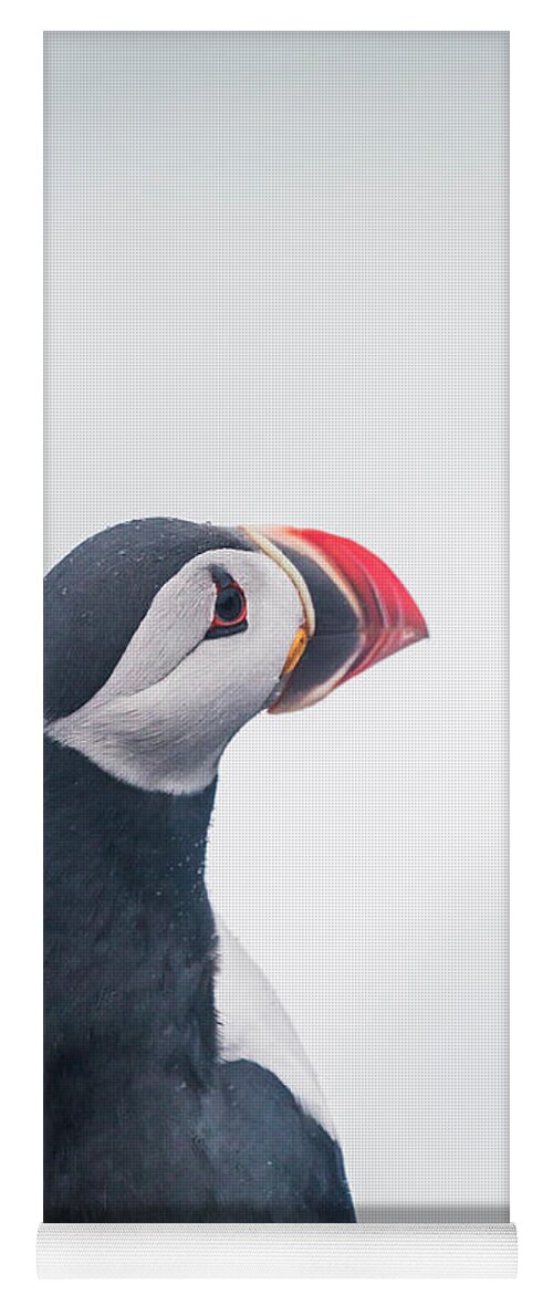 Photography Yoga Mat featuring the photograph Atlantic Puffin Fratercula Arctica #3 by Panoramic Images