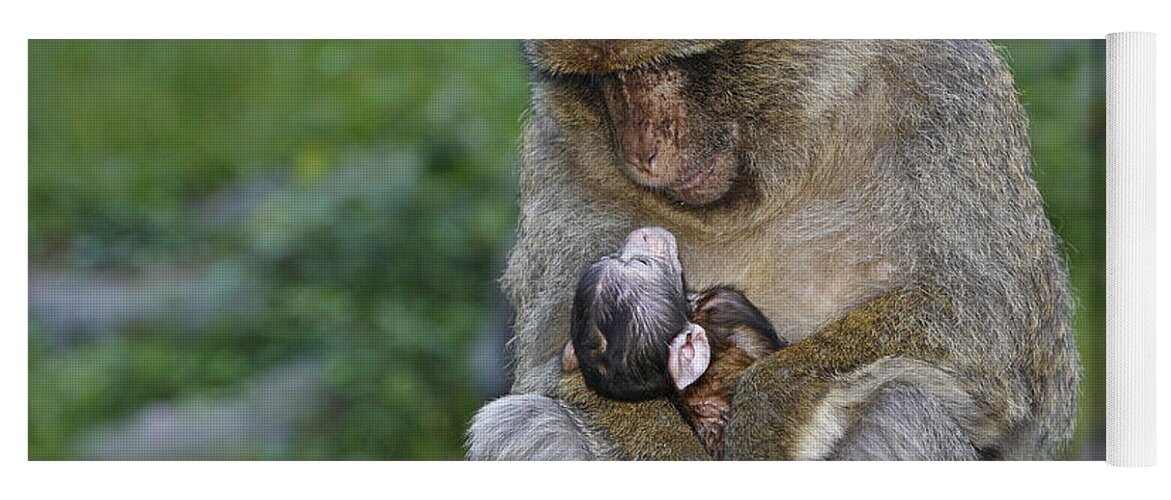 Barbary Macaque Yoga Mat featuring the photograph Barbary Macaque With Baby #3 by M. Watson