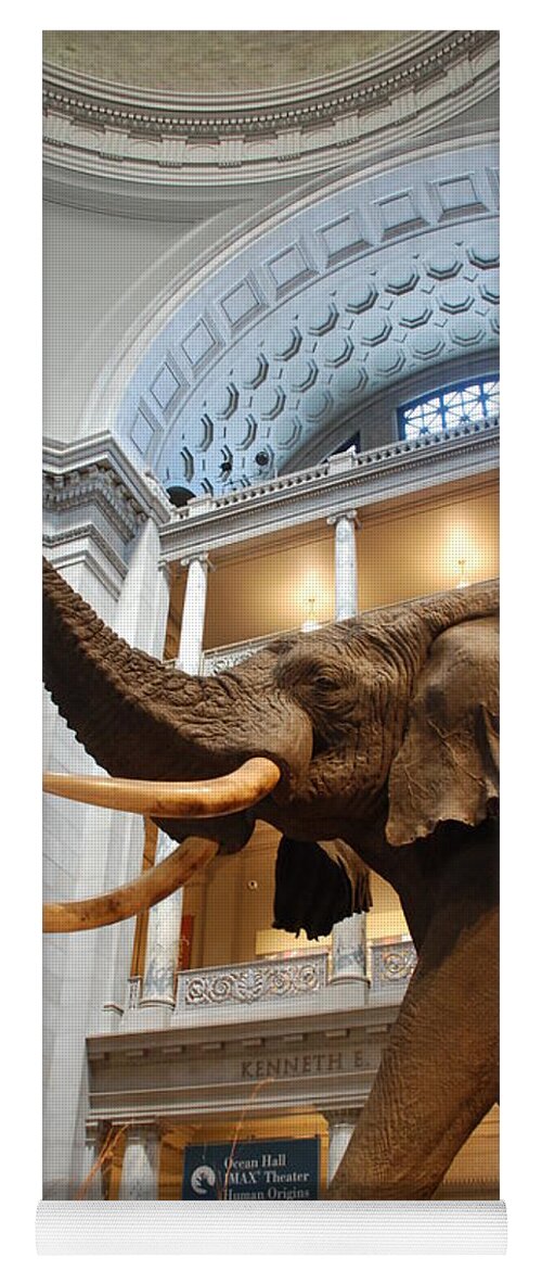 Bull Elephant Yoga Mat featuring the photograph Bull Elephant in Natural History Rotunda by Kenny Glover