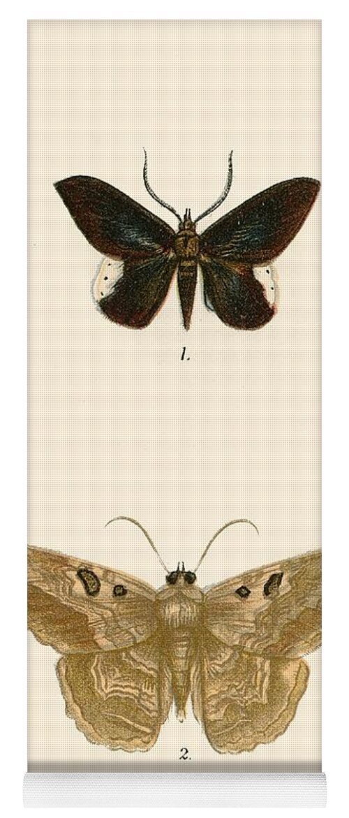 Insect Yoga Mat featuring the painting Butterflies by English School