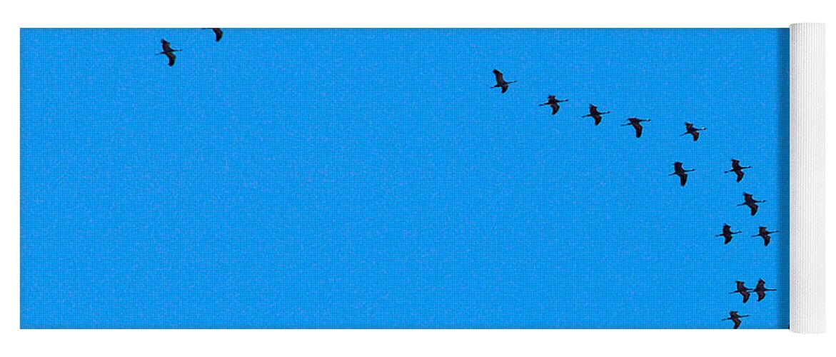 Lehto Yoga Mat featuring the photograph Eurasian Cranes #3 by Jouko Lehto