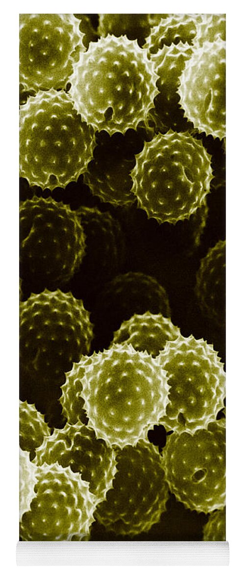 Allergen Yoga Mat featuring the photograph Ragweed Pollen Sem #3 by David M. Phillips / The Population Council