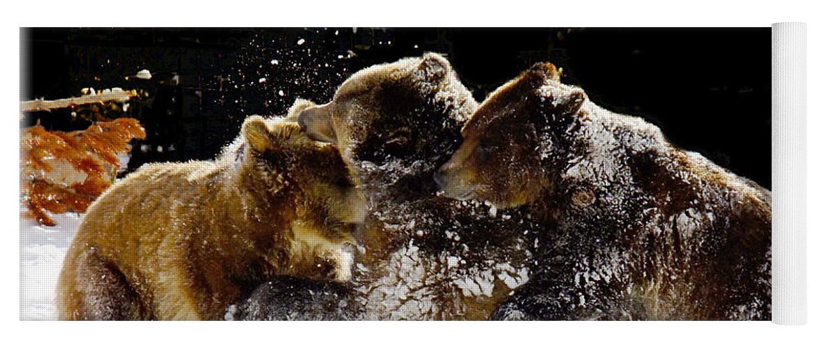 Grizzlies Yoga Mat featuring the photograph 300 Pound Playmates by Kae Cheatham