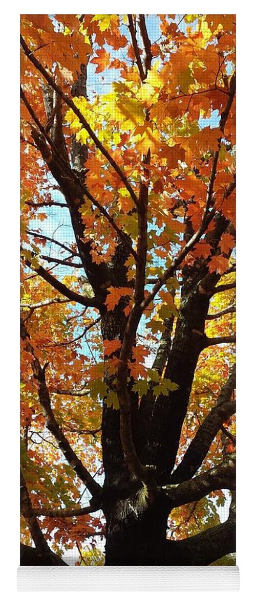 Fall Yoga Mat featuring the photograph Fall Explosion of Color #32 by Kenny Glover