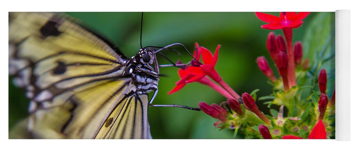 Butterfly Yoga Mat featuring the photograph Butterfly #7 by Rene Triay FineArt Photos