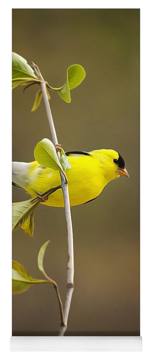 Goldfinch Yoga Mat featuring the painting American Goldfinch by Christina Rollo