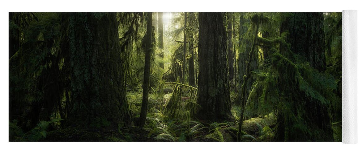 British Columbia Yoga Mat featuring the photograph Cathedral Grove, Macmillan Provincial #4 by Robert Postma