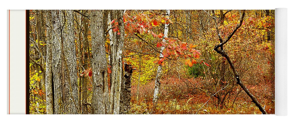 Foliage Yoga Mat featuring the photograph Forest Interior Autumn Pocono Mountains Pennsylvania #4 by A Macarthur Gurmankin