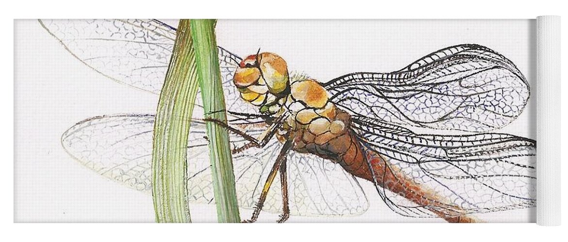 Dragonfly Yoga Mat featuring the painting Sheer Wings / sold #3 by Barbara Anna Cichocka